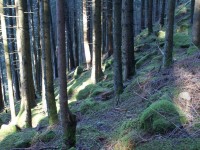 Psychotherapie kann Ihnen helfen